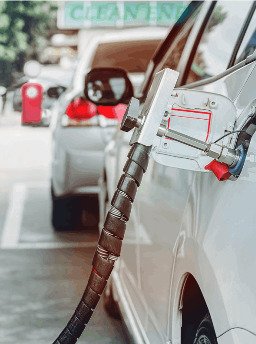 Pais e Filhos GNV Bangu